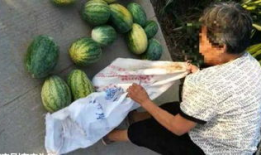 沛县吃瓜最新事件爆料